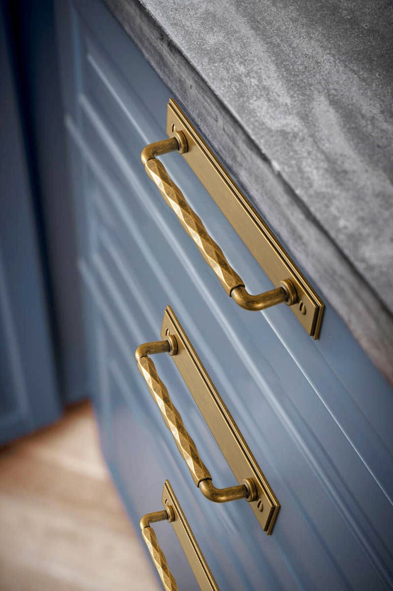Goo-Ki 2 Pack Zinc Alloy Drawer Pulls with Back Plate Twisted Design Decorative Handles for Kitchen Cabinets
