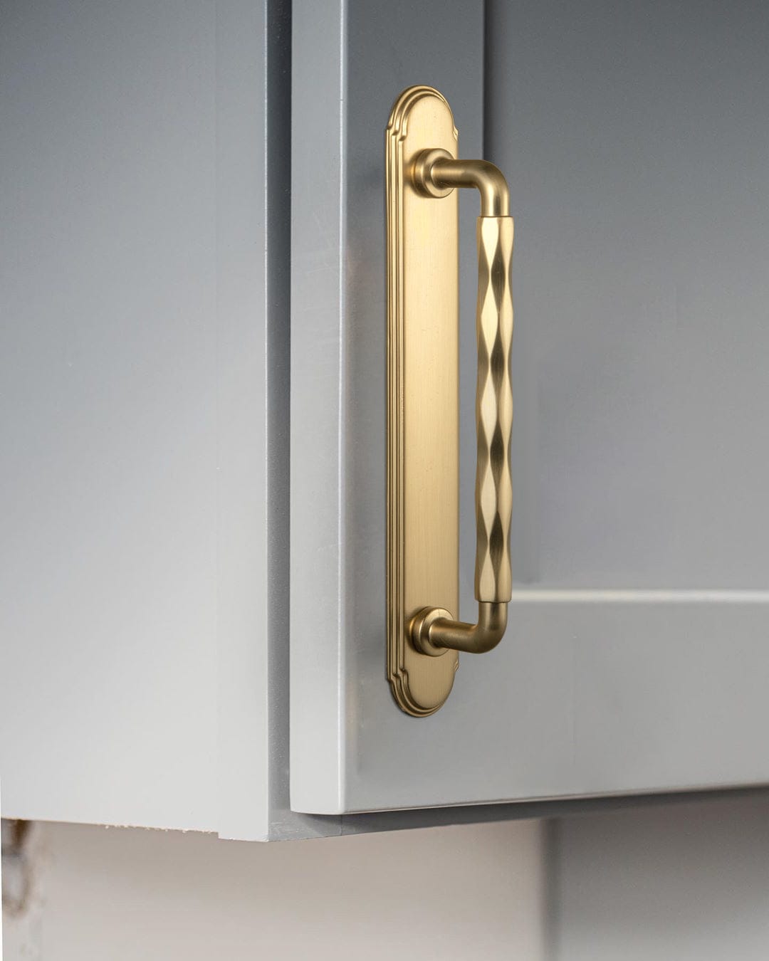 Goo-Ki 2 Pack Zinc Alloy Drawer Pulls with Back Plate Twisted Design Decorative Handles for Kitchen Cabinets