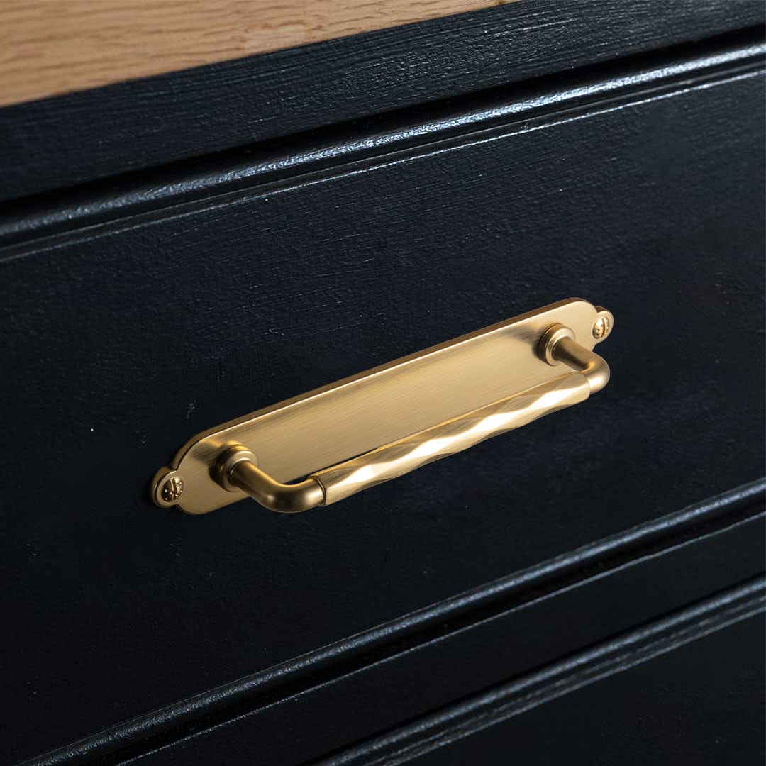 Goo-Ki 2 Pack Zinc Alloy Drawer Pulls with Back Plate Twisted Design Decorative Handles for Kitchen Cabinets