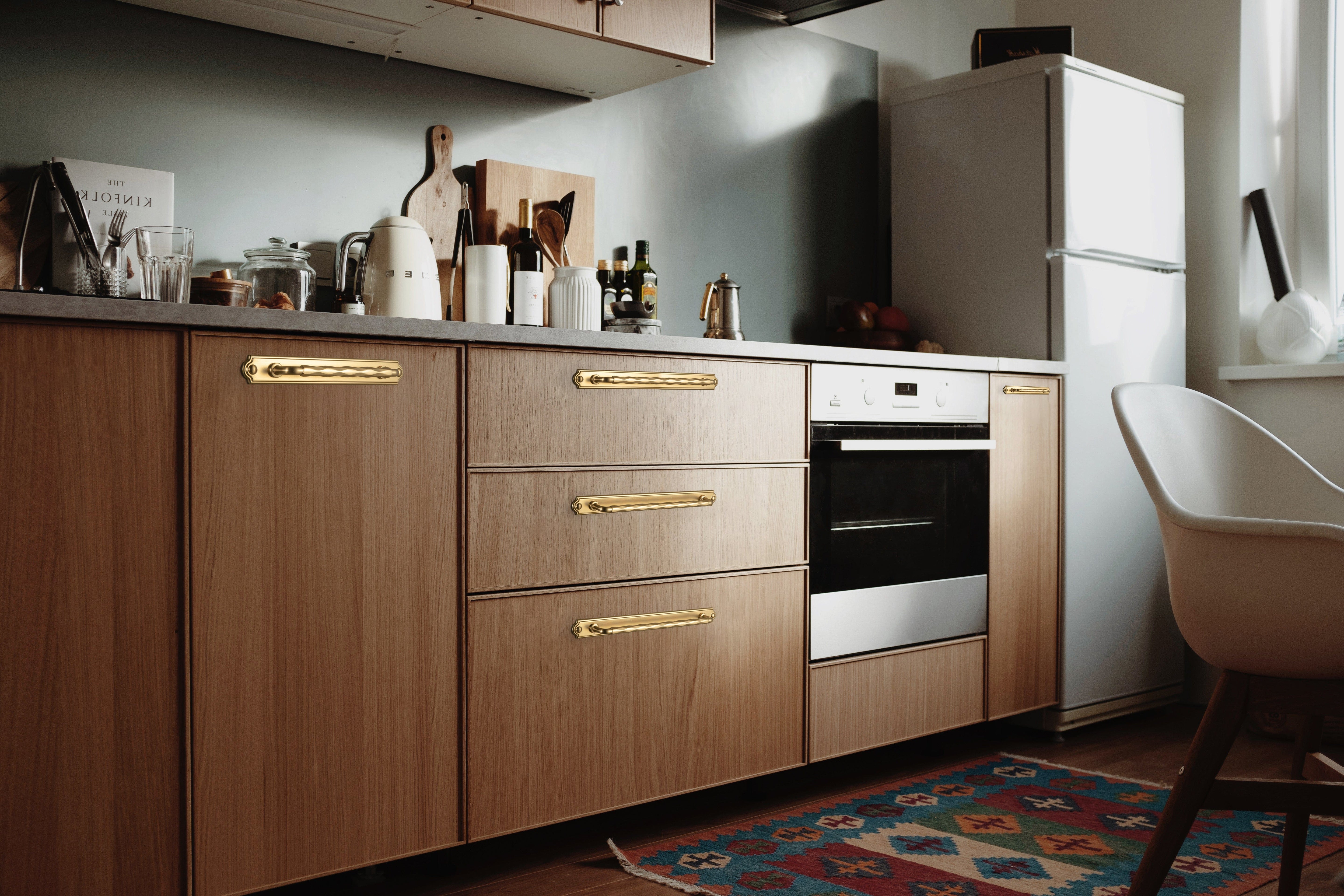 Goo-Ki 2 Pack Zinc Alloy Drawer Pulls with Back Plate Twisted Design Decorative Handles for Kitchen Cabinets