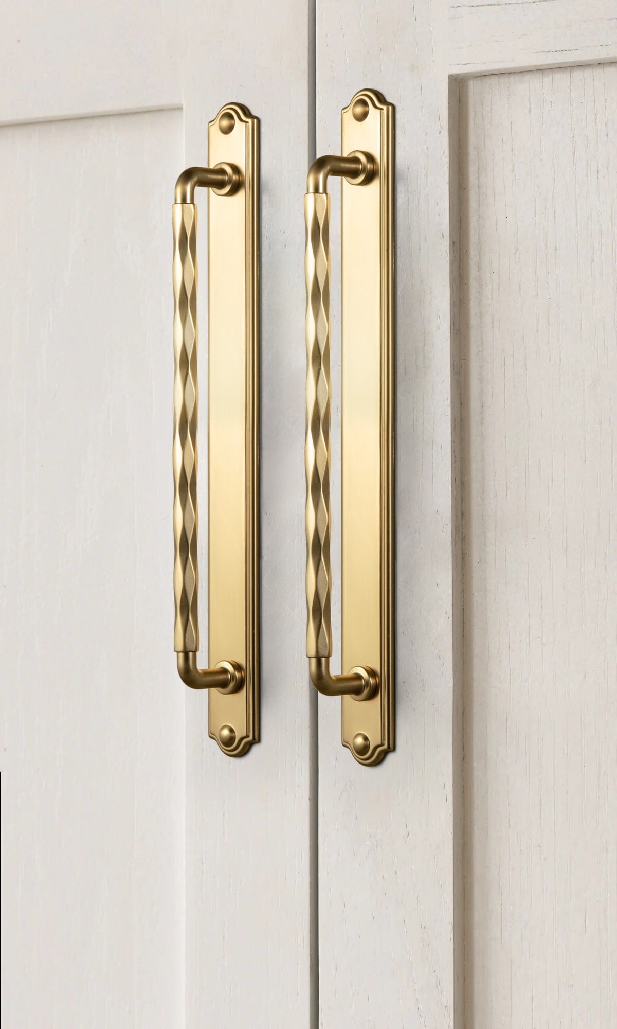 Goo-Ki 2 Pack Zinc Alloy Drawer Pulls with Back Plate Twisted Design Decorative Handles for Kitchen Cabinets