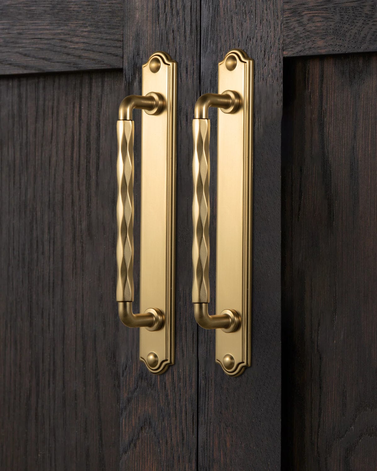 Goo-Ki 2 Pack Zinc Alloy Drawer Pulls with Back Plate Twisted Design Decorative Handles for Kitchen Cabinets