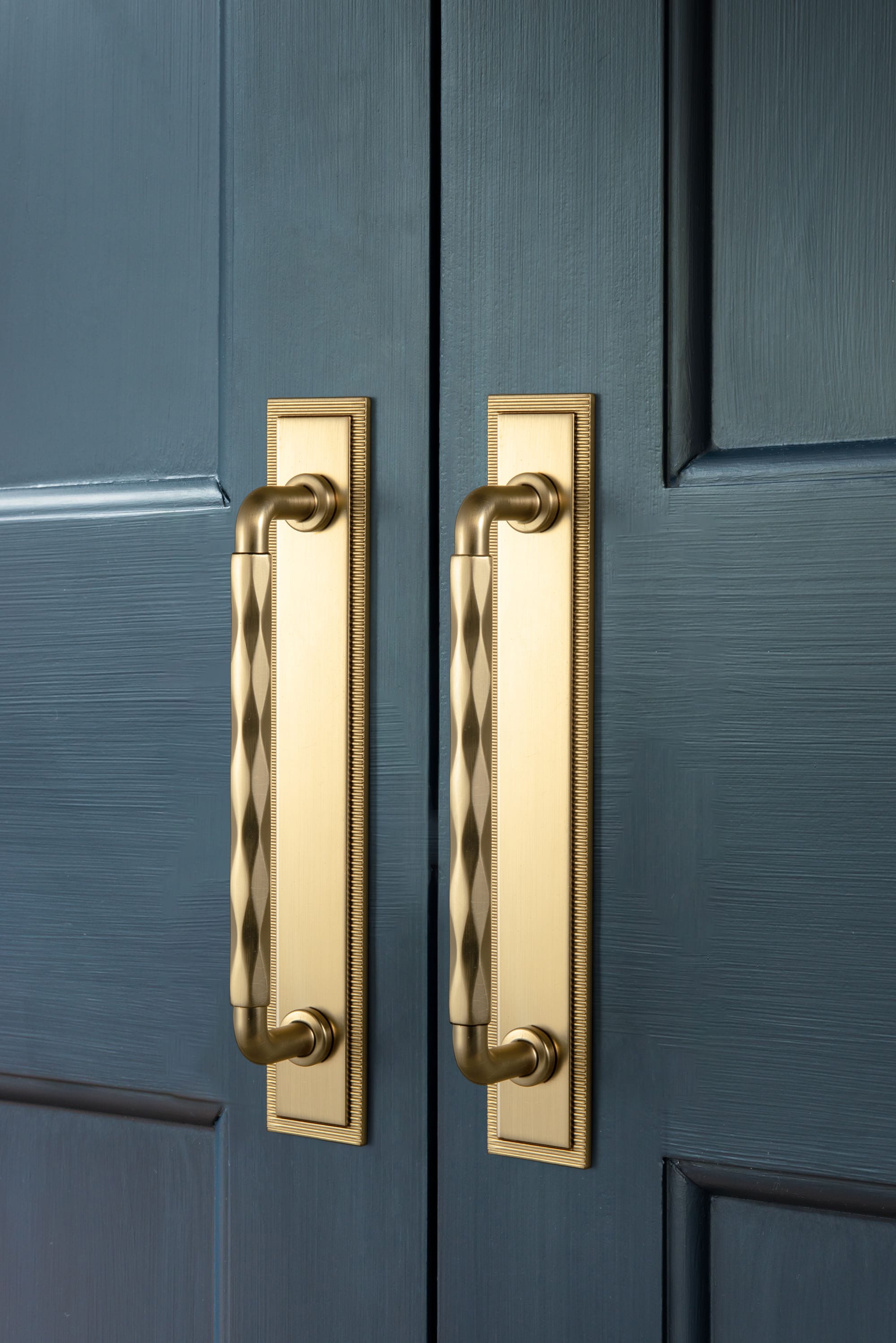 Goo-Ki 2 Pack Zinc Alloy Drawer Pulls with Back Plate Twisted Design Decorative Handles for Kitchen Cabinets