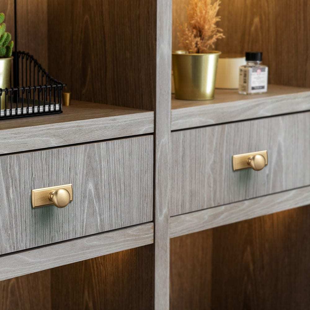 Goo-Ki 6 Pack Antique Brass Zinc Alloy Cabinet Knob with Back Plate Single Hole Center Cabinet Hardware for Bedroom Kitchen