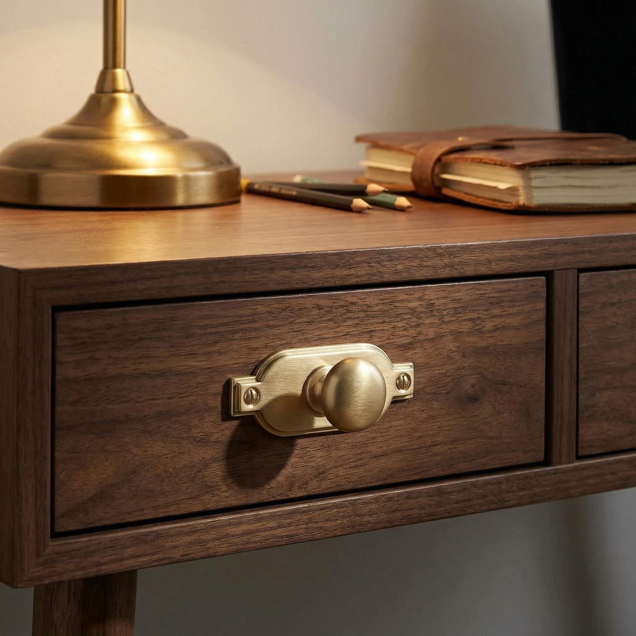 Goo-Ki 6 Pack Antique Brass Zinc Alloy Cabinet Knob with Back Plate Single Hole Center Cabinet Hardware for Bedroom Kitchen