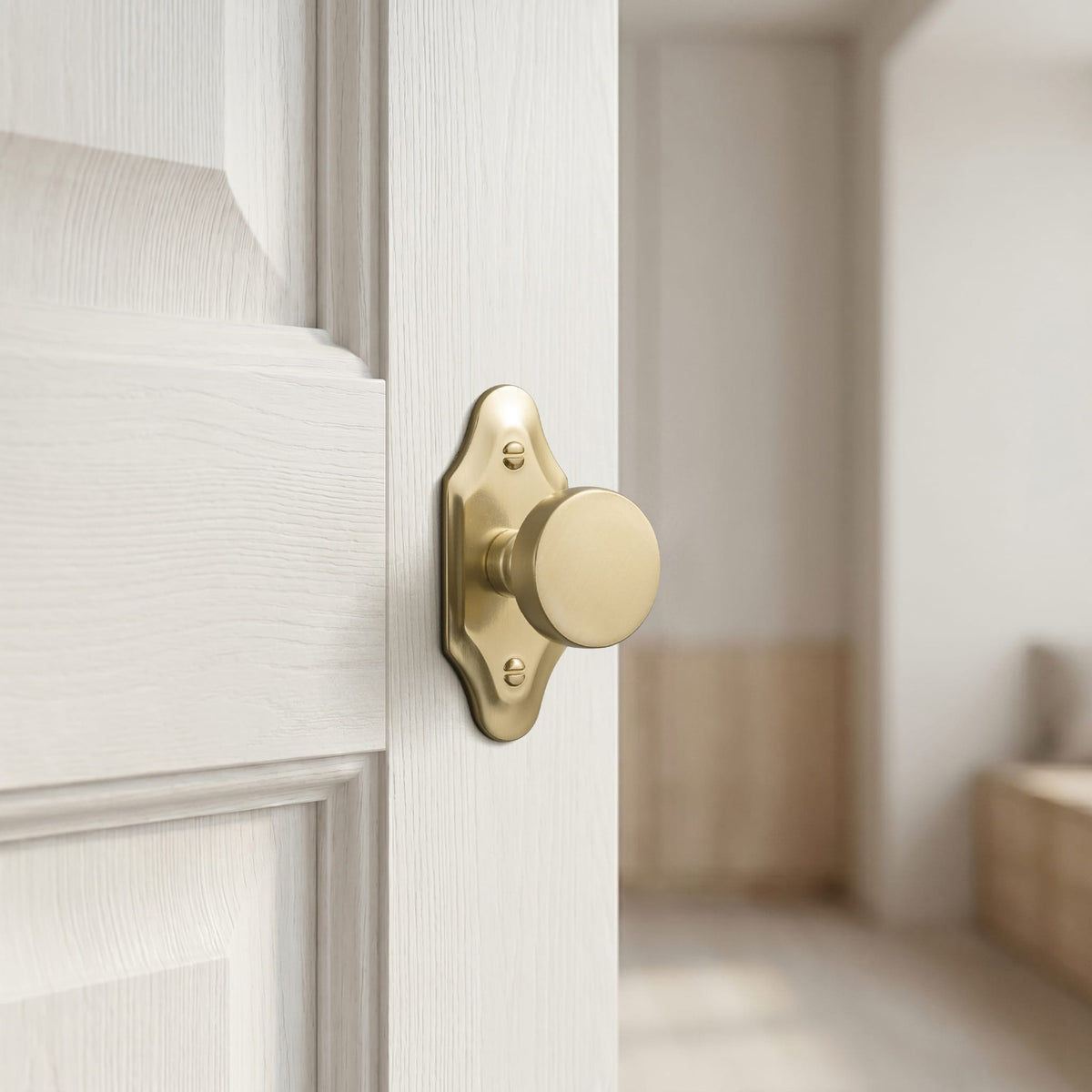 Goo-Ki 6 Pack Vintage Brass Zinc Alloy Cabinet Knob with Back Plate Single Hole Center Kitchen Hardware