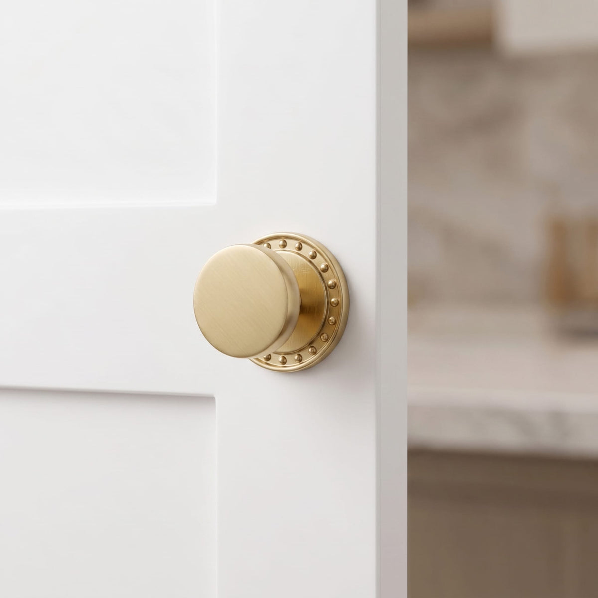 Goo-Ki Antique Brass Cabinet Knobs with Back Plates Ornate Cabinet Pulls for Kitchen Cabinet Hardware