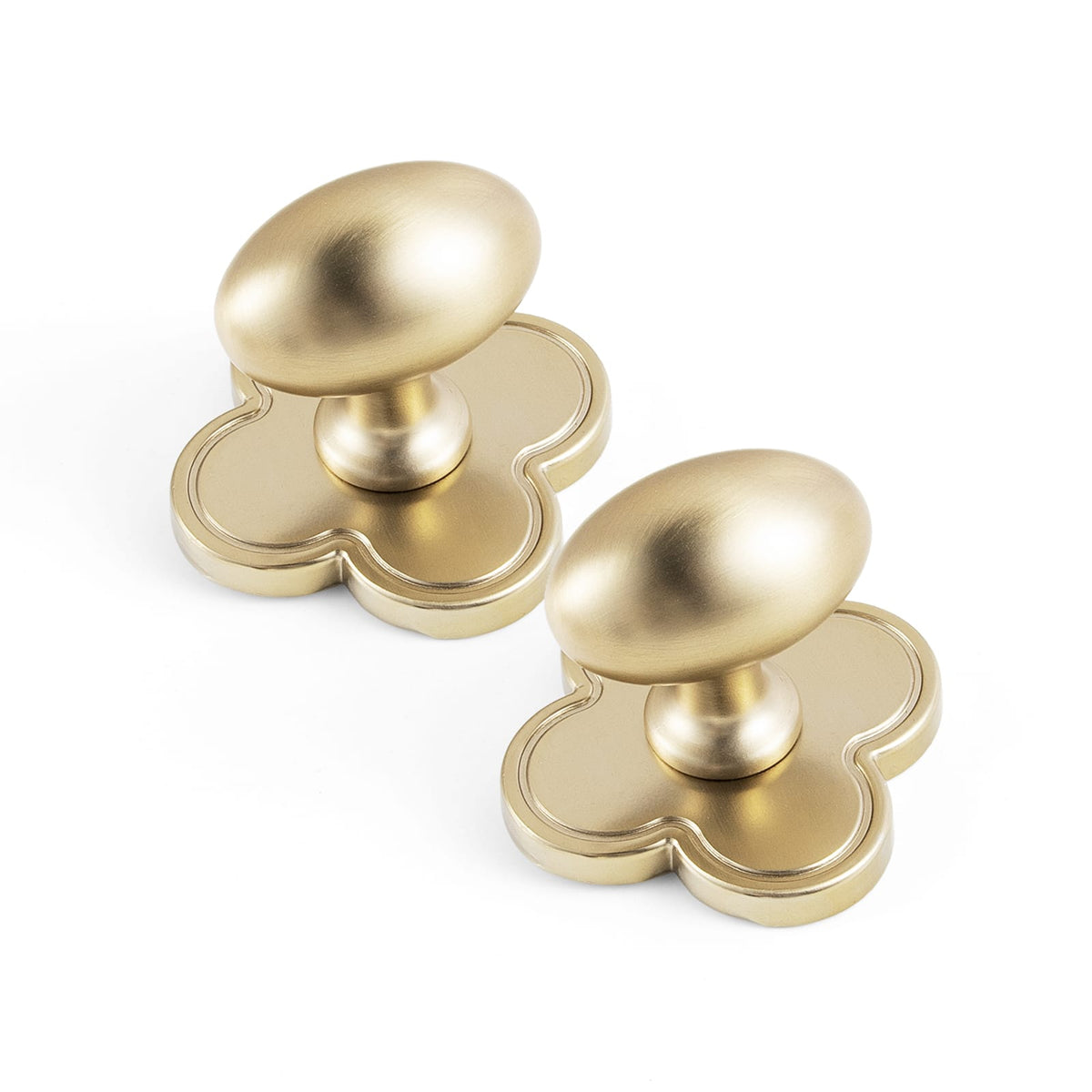 Goo-Ki Champagne Bronze / Knob with Back Plate F / 6 Pack Antique Oval Cabinet Knobs Zinc Alloy 1.4 Inch Diameter Drawer Knobs