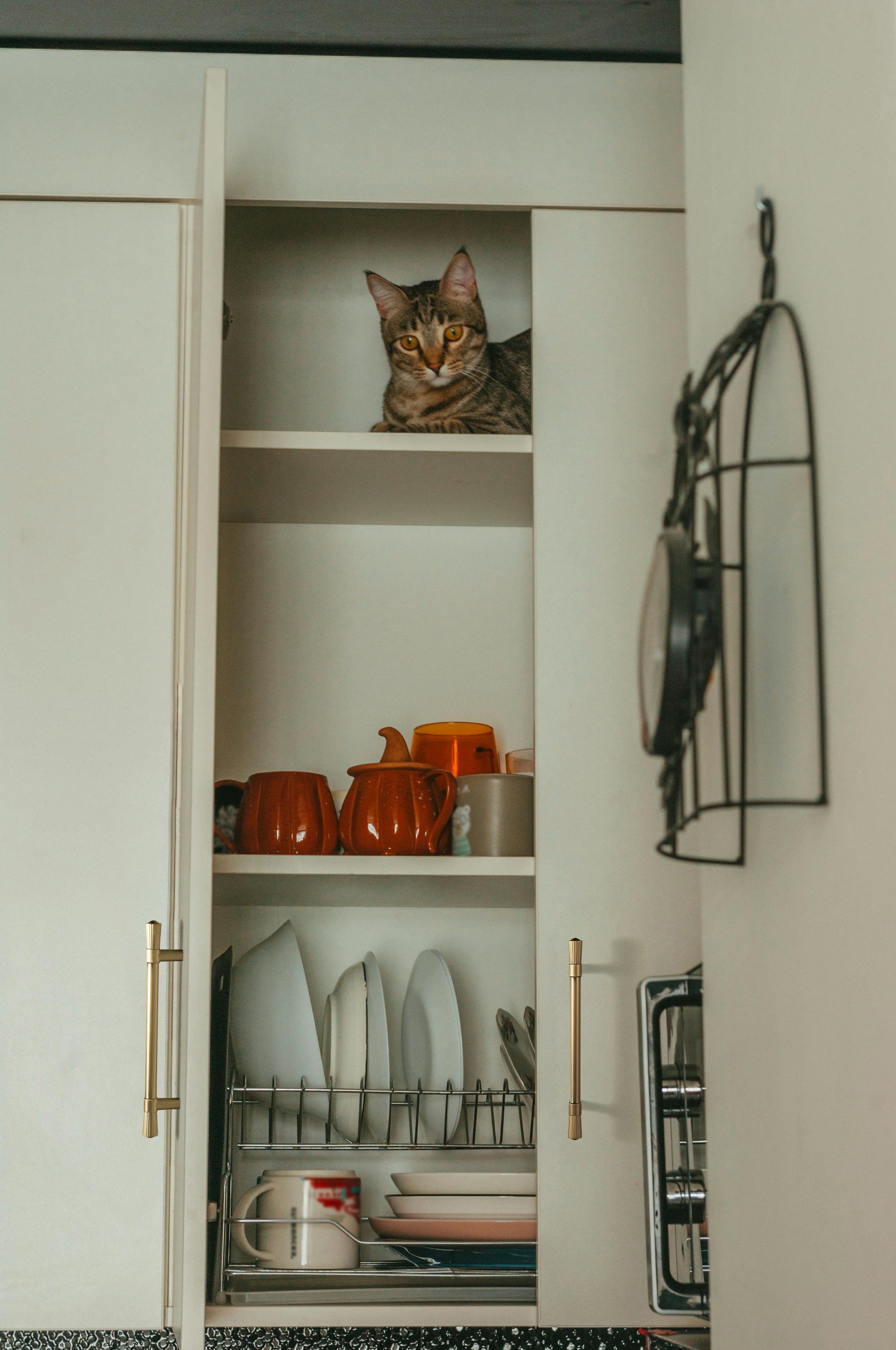 Goo-Ki Distinctive Stylish Zinc Alloy Cabinet Handles Featuring Textured Ribbed Ends