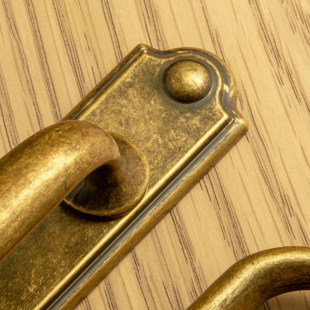 Goo-Ki Stylish Contoured Cabinet Handle with Back Plate Decorative Cabinet Hardware