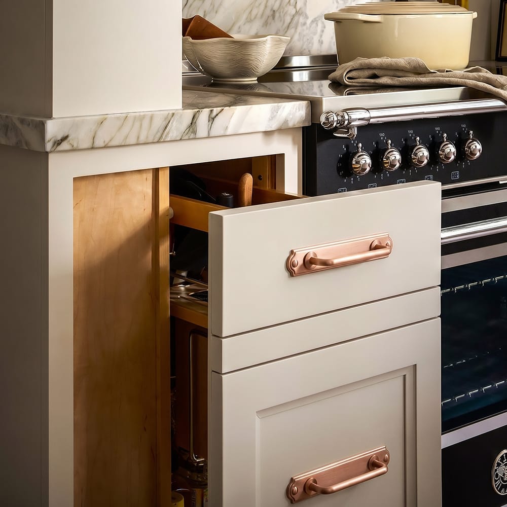 Goo-Ki Stylish Contoured Cabinet Handle with Back Plate Decorative Cabinet Hardware