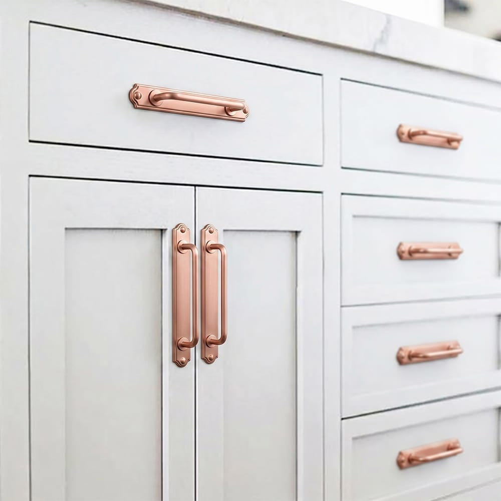 Goo-Ki Stylish Contoured Cabinet Handle with Back Plate Decorative Cabinet Hardware