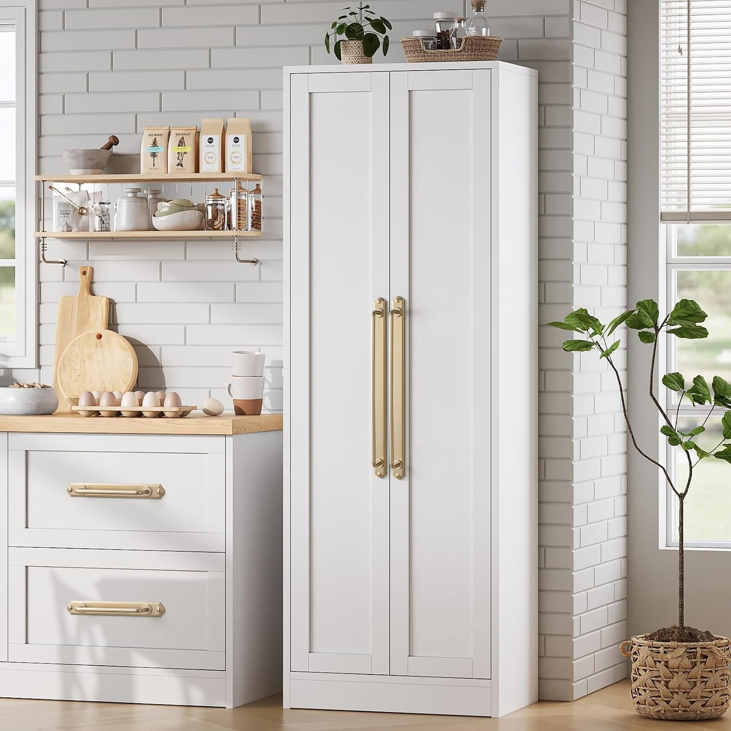 Goo-Ki Stylish Contoured Cabinet Handle with Back Plate Decorative Cabinet Hardware