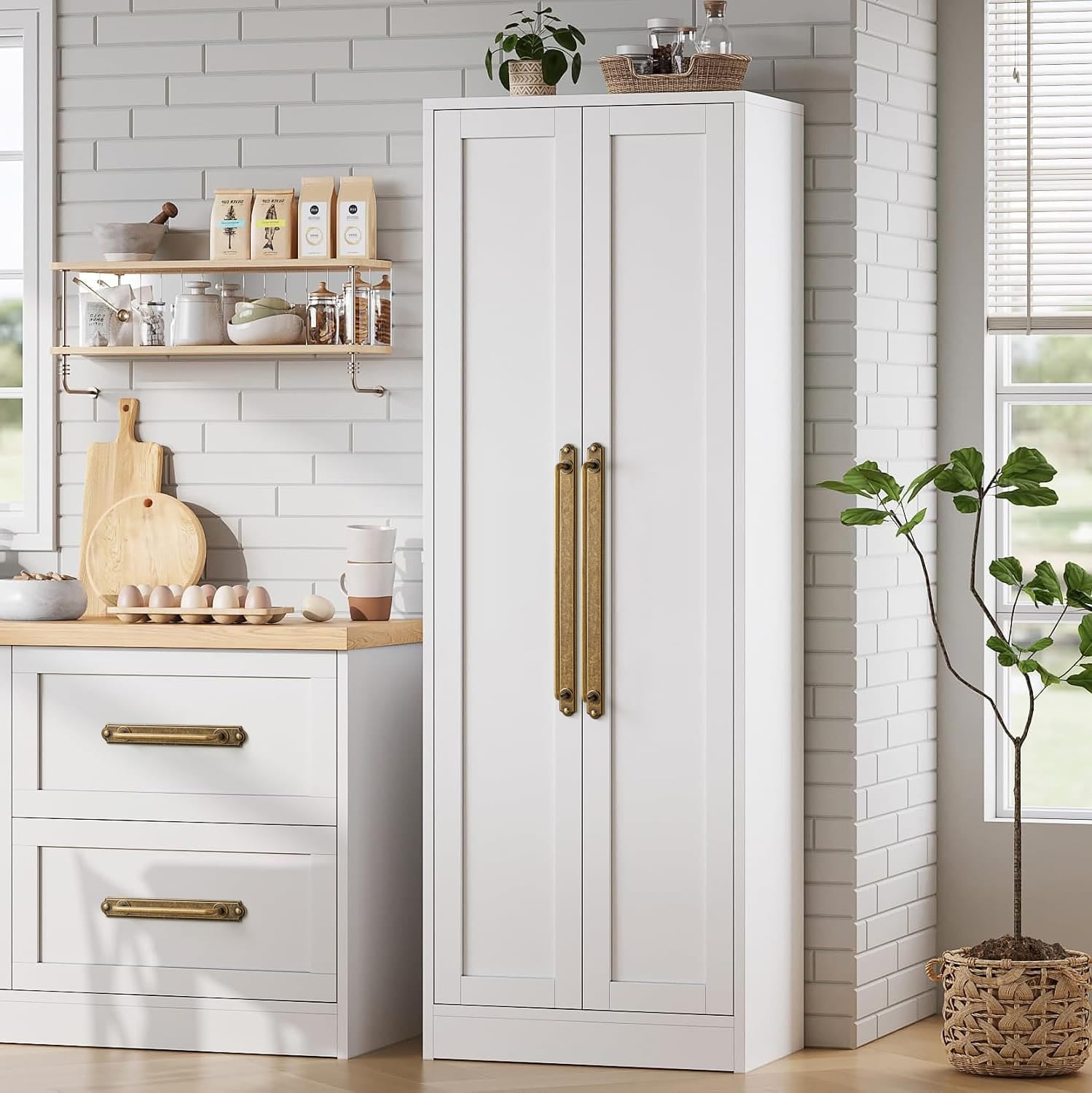 Goo-Ki Stylish Contoured Cabinet Handle with Back Plate Decorative Cabinet Hardware