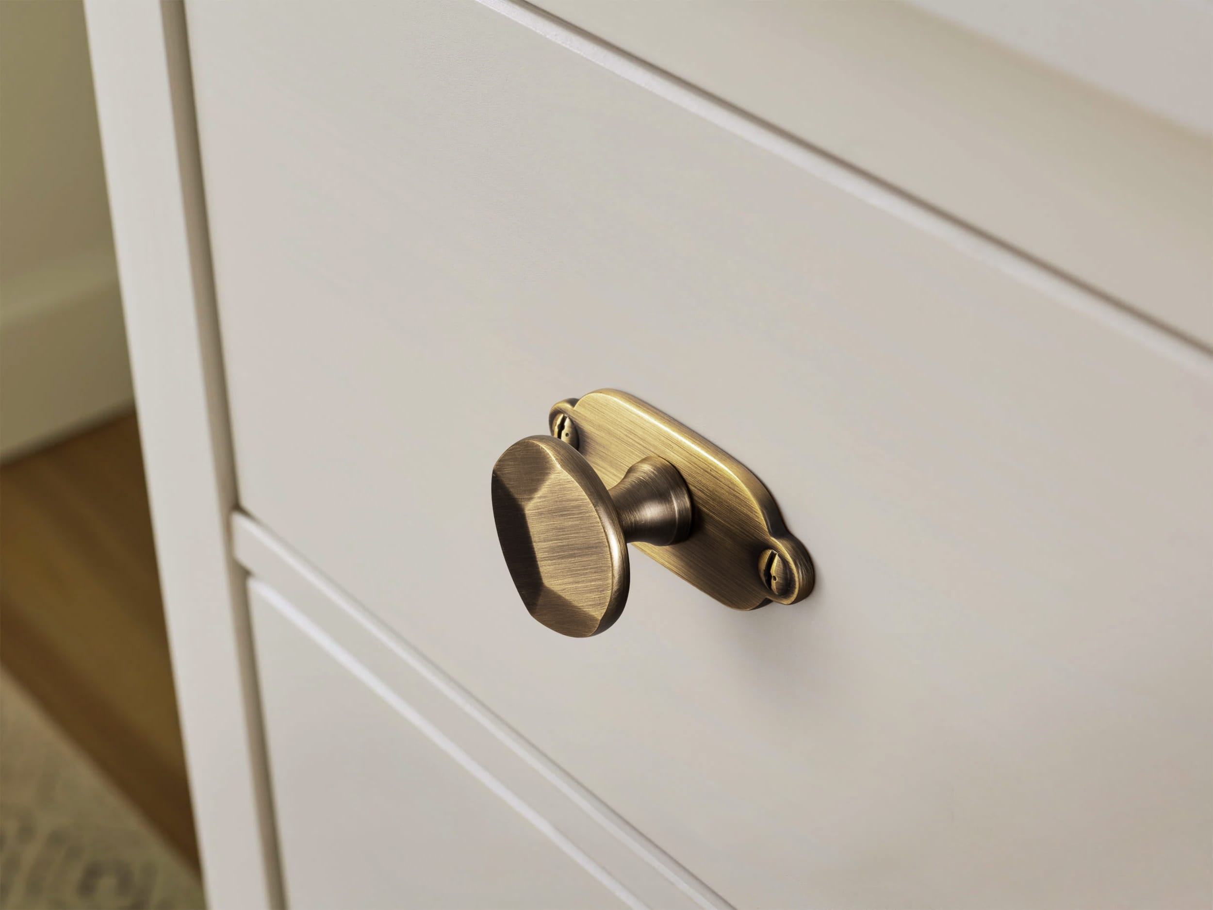 Goo-Ki Traditional Aged Bronze Zinc Alloy Cabinet Knob, Elegant Round Knob with Decorative Back Plate for Kitchen & Bathroom Cabinets