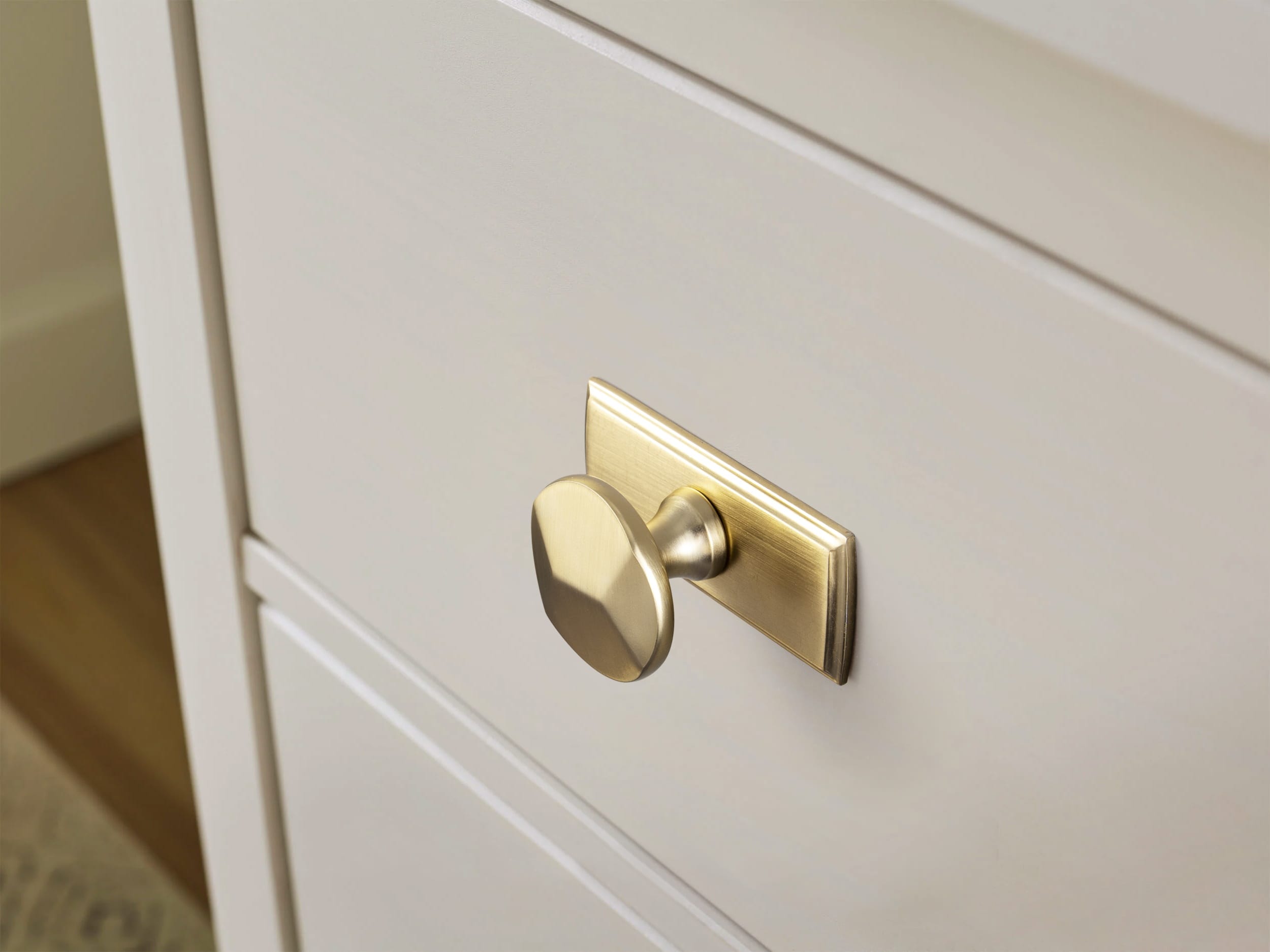 Goo-Ki Traditional Aged Bronze Zinc Alloy Cabinet Knob, Elegant Round Knob with Decorative Back Plate for Kitchen & Bathroom Cabinets