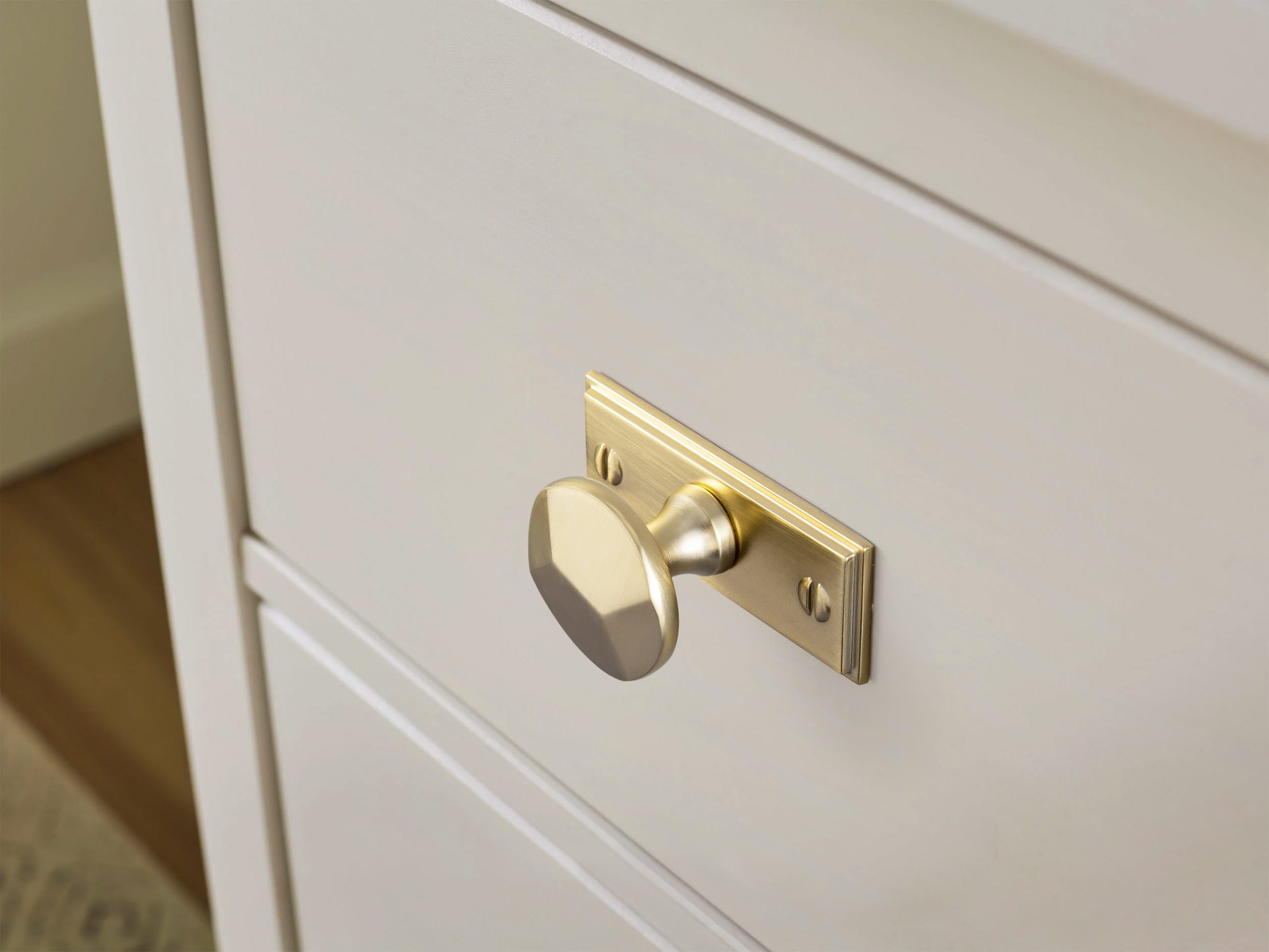 Goo-Ki Traditional Aged Bronze Zinc Alloy Cabinet Knob, Elegant Round Knob with Decorative Back Plate for Kitchen & Bathroom Cabinets