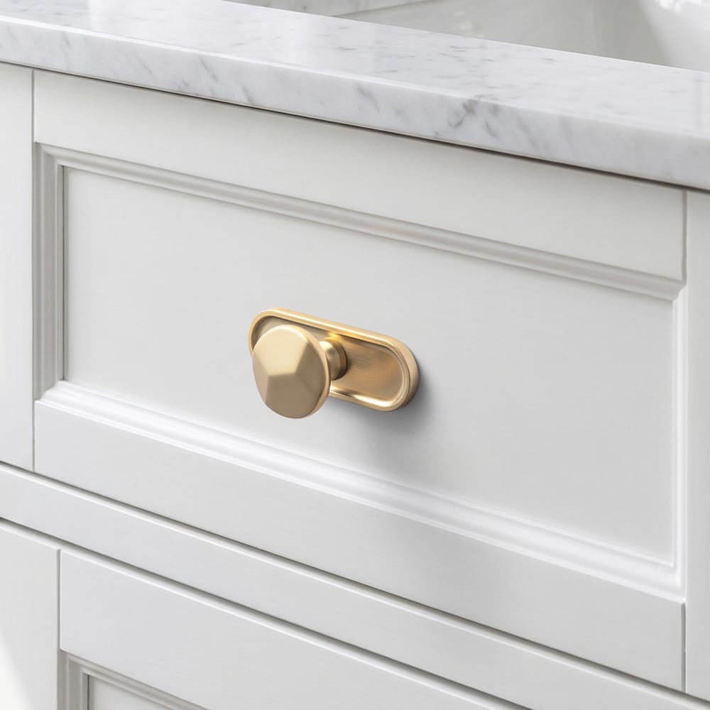Goo-Ki Traditional Aged Bronze Zinc Alloy Cabinet Knob, Elegant Round Knob with Decorative Back Plate for Kitchen & Bathroom Cabinets