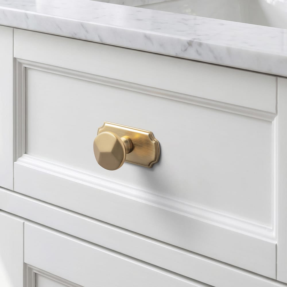 Goo-Ki Traditional Aged Bronze Zinc Alloy Cabinet Knob, Elegant Round Knob with Decorative Back Plate for Kitchen & Bathroom Cabinets