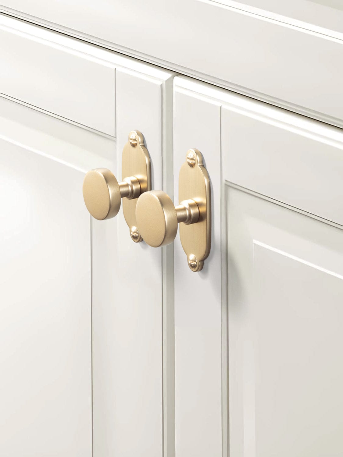 Goo-Ki Vintage Brass Zinc Alloy Cabinet Knob with Back Plate Single Hole Center Kitchen Hardware