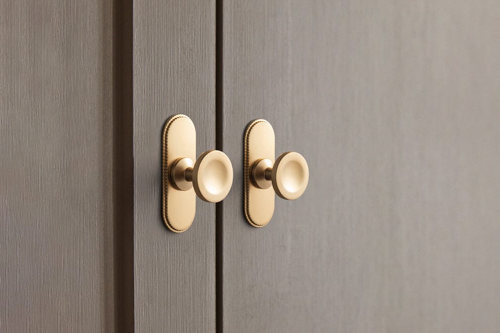 6 Pack Assorted Shaped Zinc Alloy Cabinet Hardware - Knobs and Back Plates for Stylish Furniture